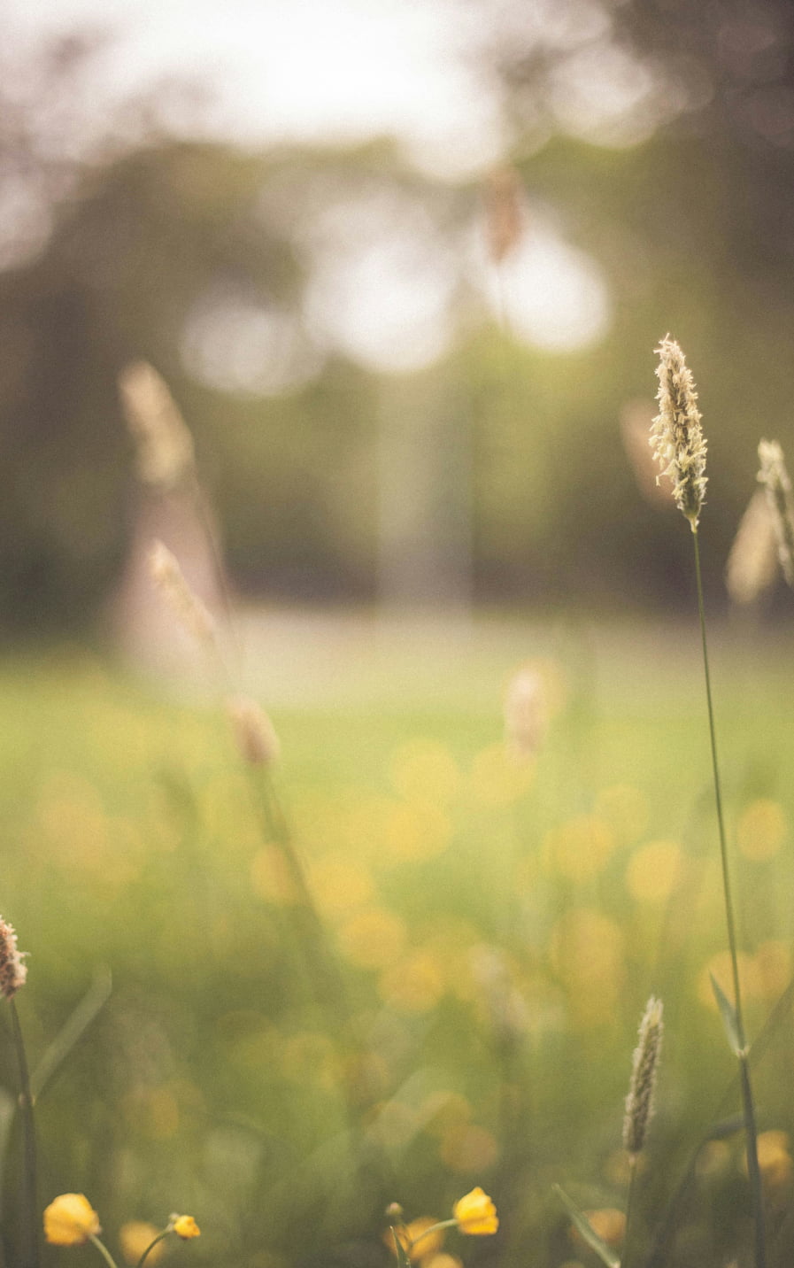 Frame 40-(Compressify.io)